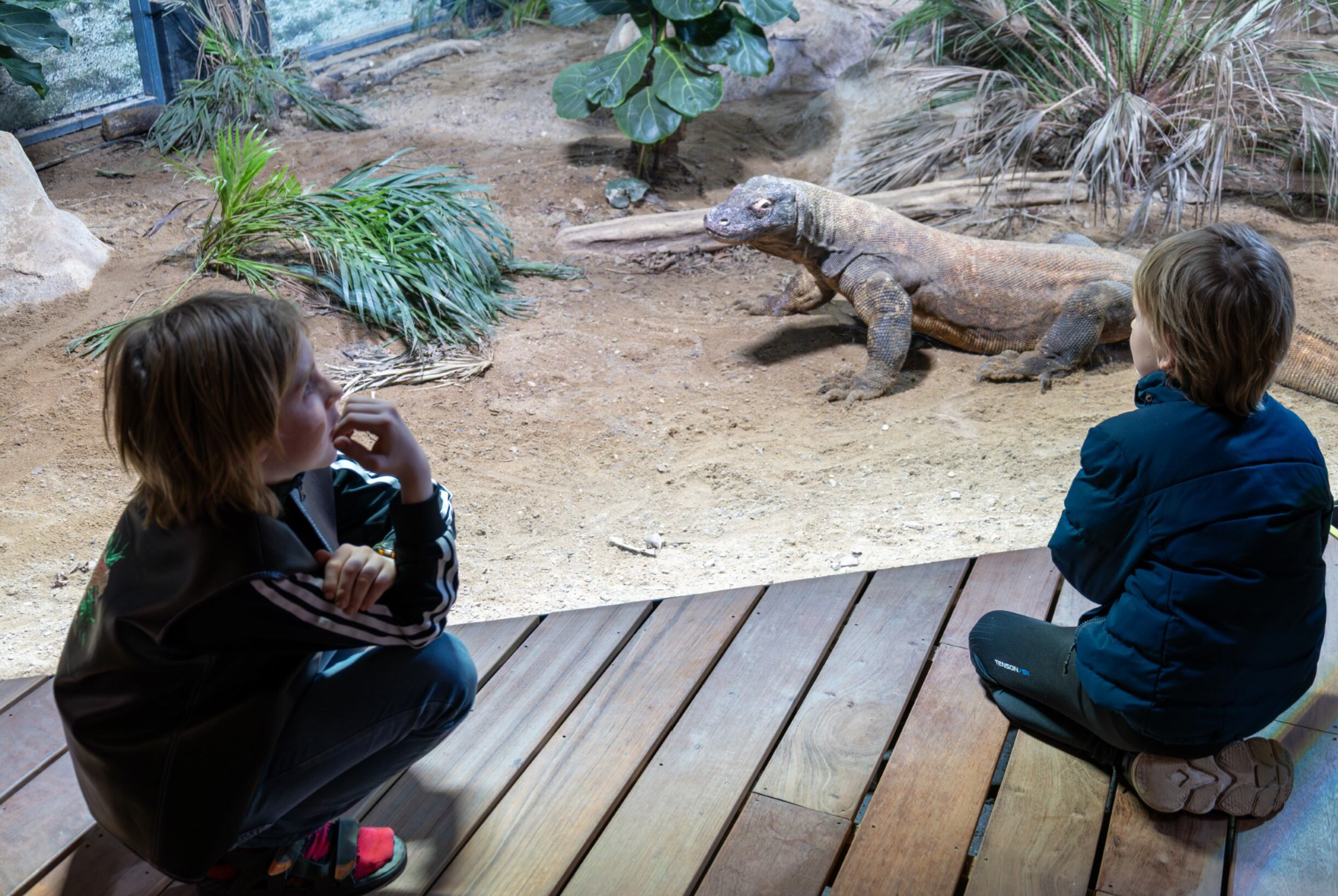 Kids sitting down in ZOO